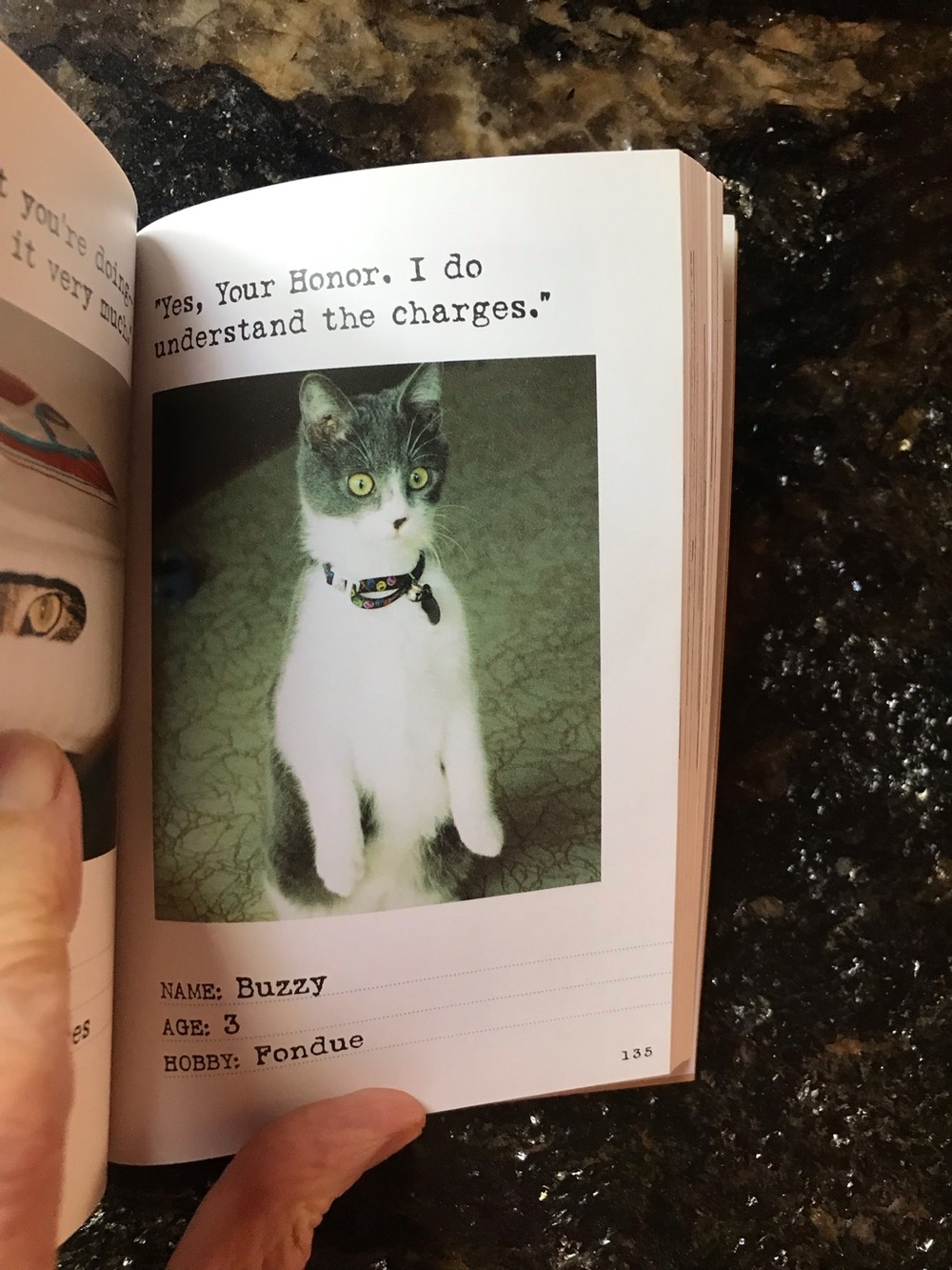 Bad Cat Book - Picture 7 of 10